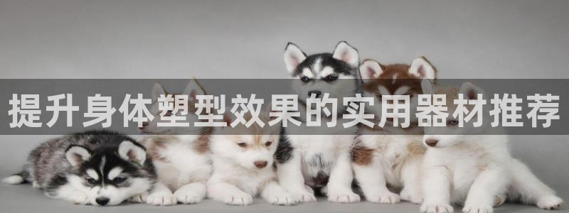 德国678体育官方正版app集团:提升身体塑型效果的实用器材